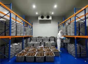 Teknisi Profesional untuk Blast Freezer